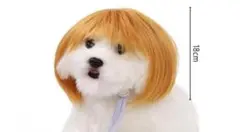 猫　犬　カツラ　ウィッグ　ハロウィン　仮装　髪の毛　ペット　ミドル　ヘアー
