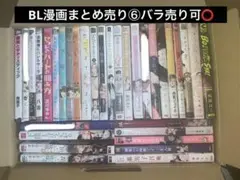 BL漫画まとめ売り⑥バラ売り可⭕️
