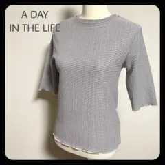 【美品】A DAY IN THE LIFE ボーダー プルオーバーブラウス