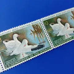 Item thumbnail for item faaf9445-b1ba-4a3f-b21b-f319dfcc3dc6