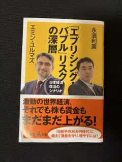 エブリシング・バブルリスクの深層