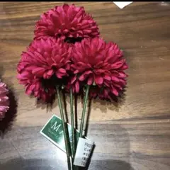 Item thumbnail for item ac5080ef-b635-4437-9bb7-28a381df5f1a