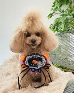 ハロウィンチョーカー＊おばけも振り向くかわいさ（甘辛ミックス／男女OK）