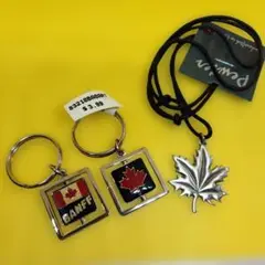 Item thumbnail for item 45d1cd50-57dc-41ef-86e7-10a712e595a6