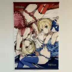 未開封■Fate/EXTELLA ネロ・クラウディウス＆アルトリア・ペンドラゴン 2025年最新】Fate/EXTELLA ネロ・クラウディウス & アルトリア