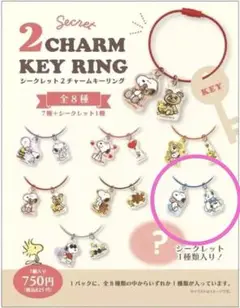 スヌーピー シークレット2チャームキーホルダー