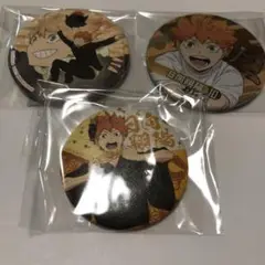 ハイキュー　日向　缶バッジ2個セット