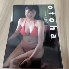 Item thumbnail for item 508510b5-a015-40b1-81b5-6f6091492894
