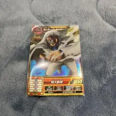 ワンピートレジャーワールド　ガープ