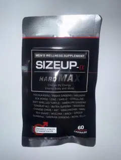 Item thumbnail for item 95b0c8e8-0f11-43a8-bd75-0e1a0728c04f