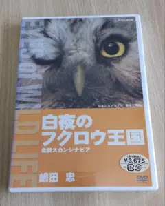 新品未開封　白夜のフクロウ王国　北欧スカンジナビア　嶋田忠　DVD