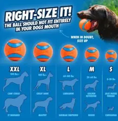Chuckit! Ultra 　ボール　小型犬用 2個入り