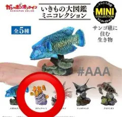 いきもの大図鑑　ミニコレクション　サンゴ礁に住む生き物　【カクレクマノミ】