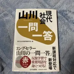 山川 一問一答 現代社会