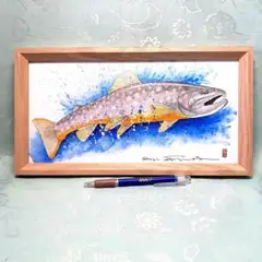 エゾイワナ(アメマス)の透明水彩画