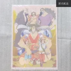 ONE PIECE まいにち ワンピース ロジャー海賊団 クリアファイル