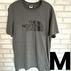 THE NORTH FACE グレー Tシャツ S/P