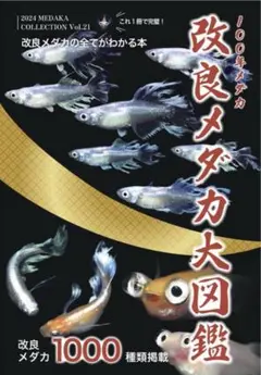2024年度版 改良メダカ大図鑑