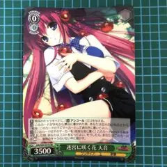 ヴァイスシュヴァルツ 迷宮に咲く花 天音 スーパーレア 周防天音 グリザイア