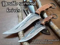 Item thumbnail for item 17858d56-1006-4794-b623-2bf7fbdb15ec