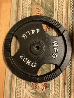 WFG ワイルドフィット ダンベルプレート　バーベルプレート　20kg その2