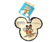 ディズニーシー ソアリン ワッペン バッジ キーホルダー