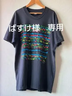 USA製 90s スクリーンスターズ Tシャツ オーバーサイズ シングルステッチ