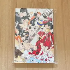 【新品・未開封】＊ハイキュー＊ アートボード