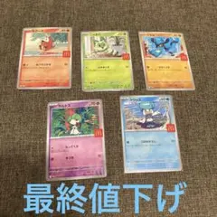 マックプロモ5枚セット