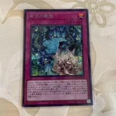 遊戯王 命王の螺旋 ドミナス・スパイラル シークレット