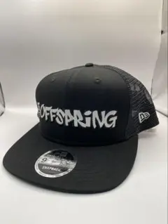 offspring 2025 ツアー　キャップ　フライヤー　セット offspring 2025 ツアー キャップ フライヤー セット - メルカリ