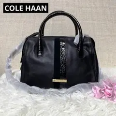【新品タグ付き✨】COLE HAAN ショルダーバッグ 2way ハンドバッグ