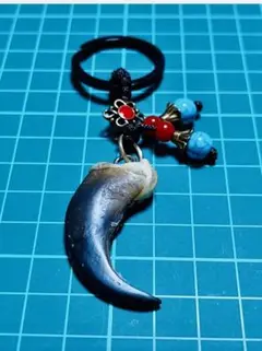 熊の爪