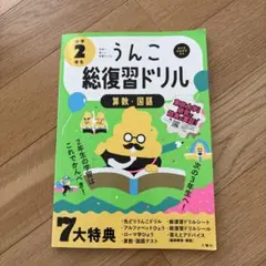 うんこ総復習ドリル : 算数・国語 小学2年生