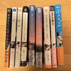 BL漫画 19冊まとめ売り