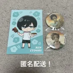 ブルーロック アンドギャラリー and GALLERY 缶バッジ 糸師 冴 凛
