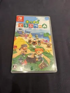 あつまれ どうぶつの森 Nintendo Switch ケース付き