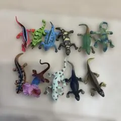 交渉中　　　　　トカゲ　ガチャ