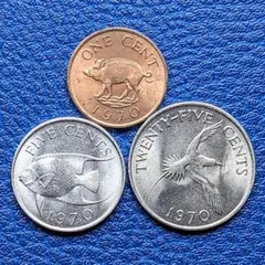3981【イギリス領バミューダ・銀貨】1964年1クラウン 古銭　大型銀貨 バミューダ諸島 1964年 1クラウン 大型銀貨 エリザベス : エルズ
