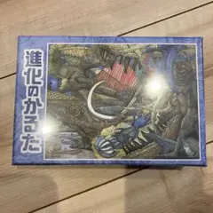 進化のかるた