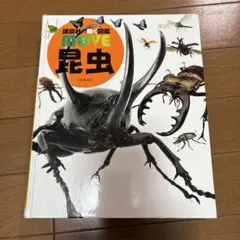 昆虫 図鑑 DVD付き