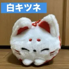 白キツネ　ぬいぐるみ　YELL エール　ころころ