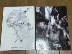 ナイトメア nightmare CD 2枚セット　anima リヴィド