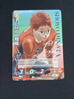 ハイキューmagazine バボカ！　日向翔陽