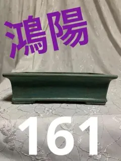 鴻陽　盆栽鉢　貴風盆栽 m10191192090_1.jpg?1652317058