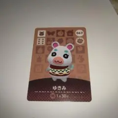 アミーボカード　ゆきみ　あつ森　どう森