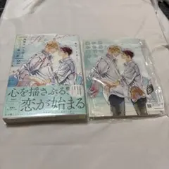 世界でいちばん遠い恋 2 麻生ミツ晃　アニメイト有償特典