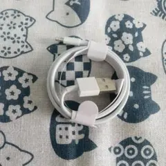 Apple 充電ケーブル