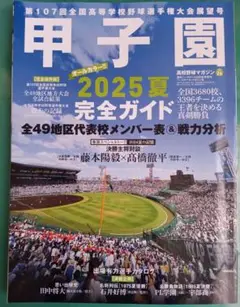 甲子園 2025夏　完全ガイド