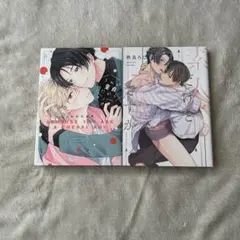 BL漫画2巻セット